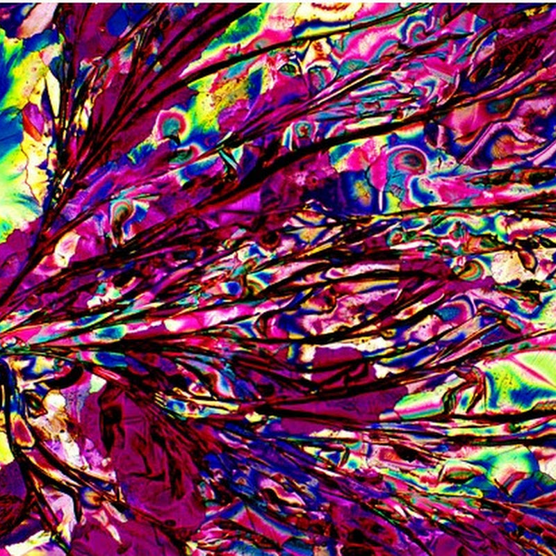 Alcohol Under The Microscope Amusing